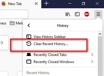 Delete Browsing History in Firefox